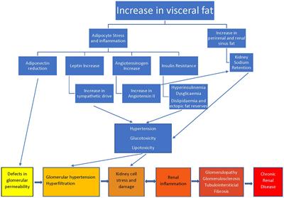 Obesity and renal disease: Benefits of bariatric surgery